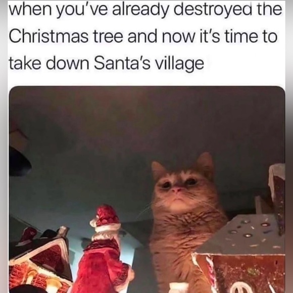 Just because 😁 - Picture 9 of 10